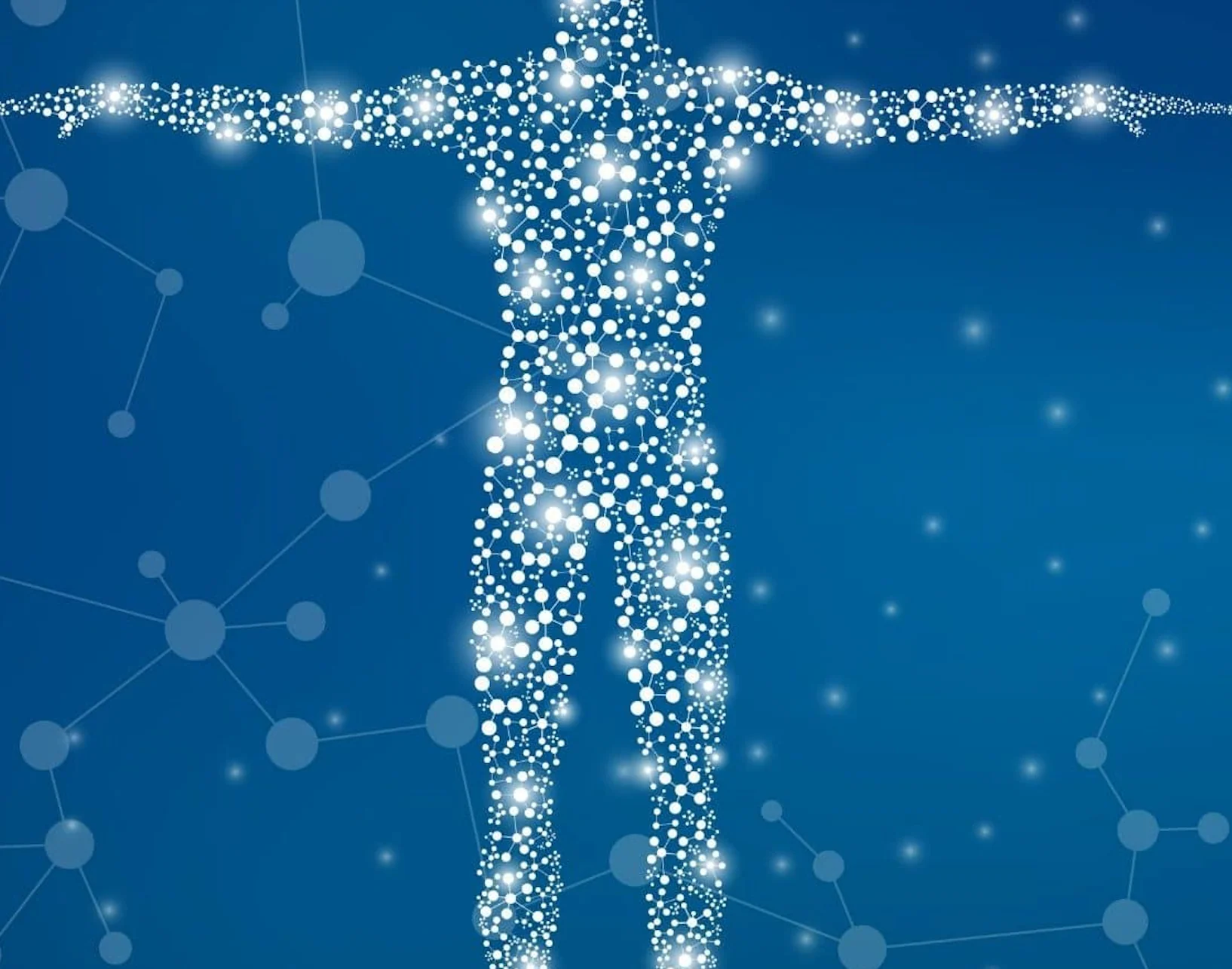 Das Endocannabinoid-System